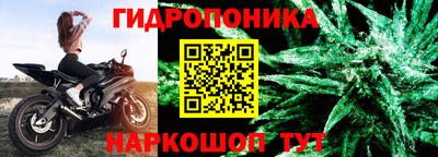 spice Краснокаменск