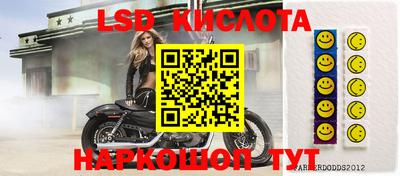 spice Краснокаменск
